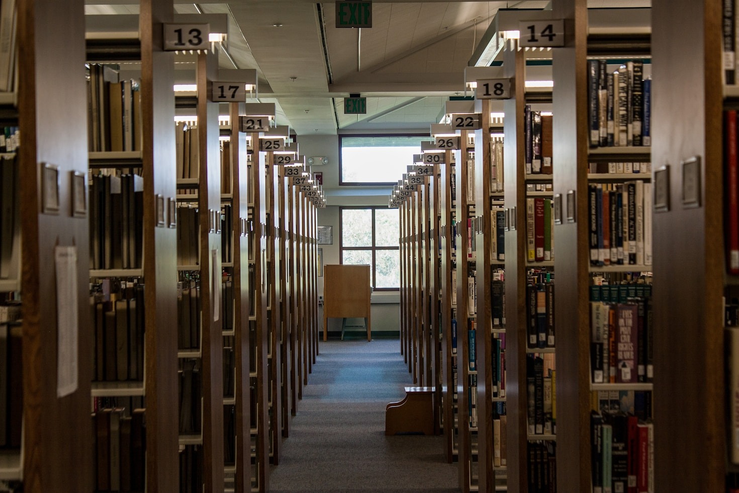How Multilingual Stories Resonate Globally